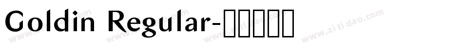 Goldin Regular字体转换